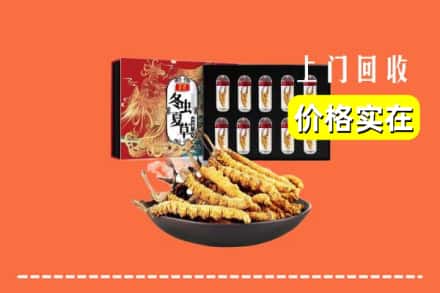 遵义市余庆回收冬虫夏草